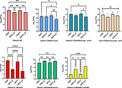 Assessing the effects of microencapsulated Lactobacillus salivarius and cowpea seed supplementation on broiler chicken growth and health status